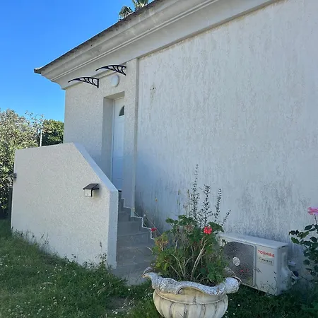 Geranium Appartamento Biguglia (Corsica)